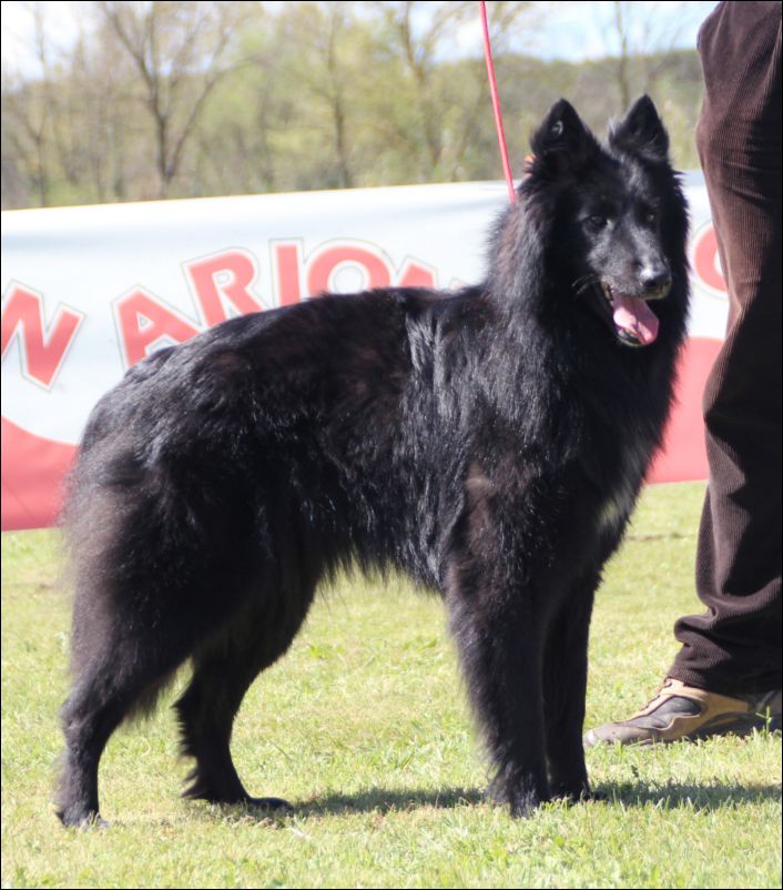 19-pinta de lCan Duvell